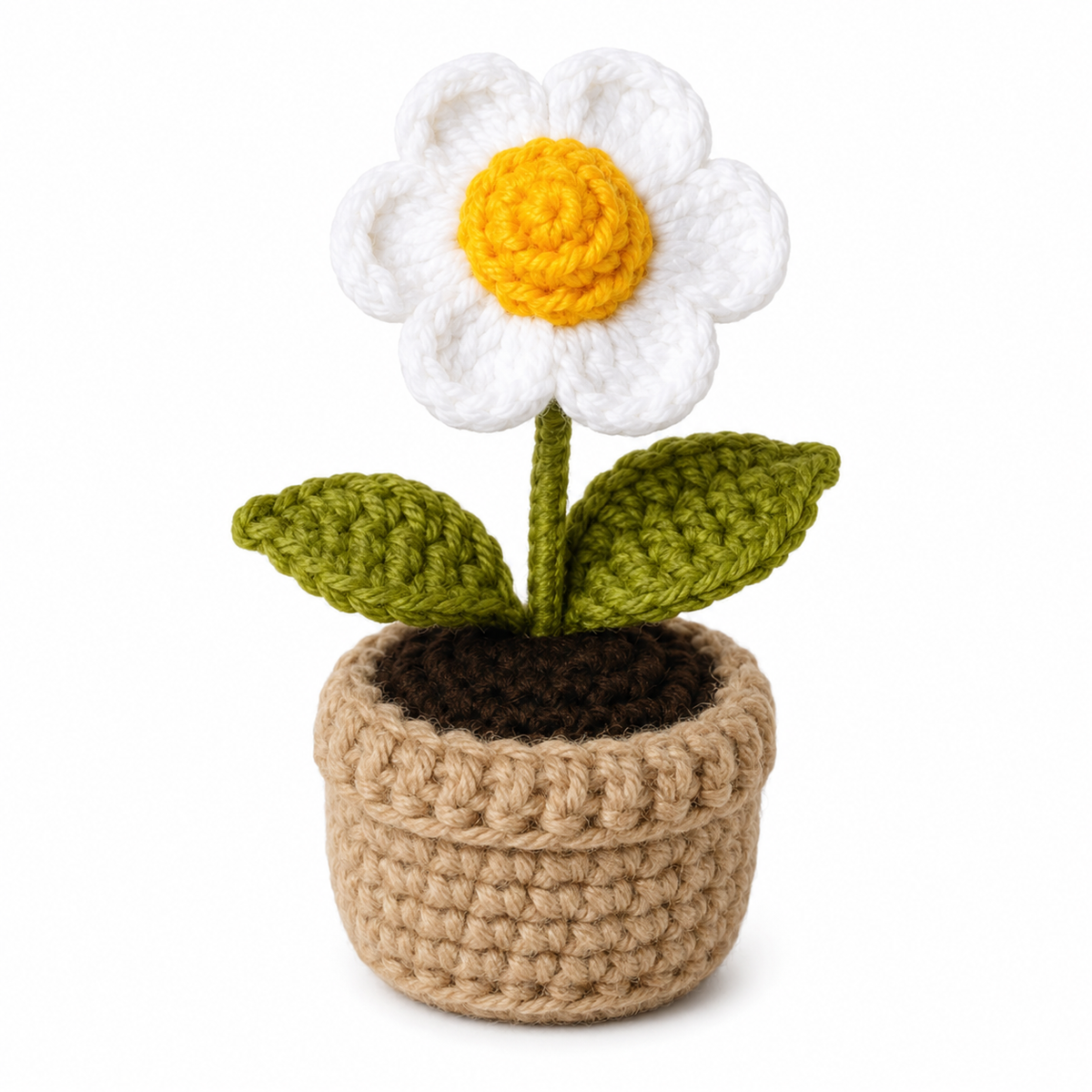 daisy Flower Pot